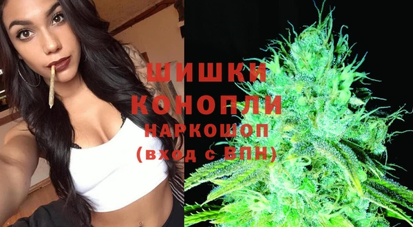 дмт Новокубанск